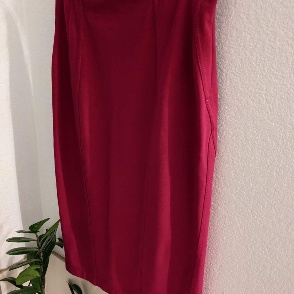 Fushia EXPRESS Pencil Skirt